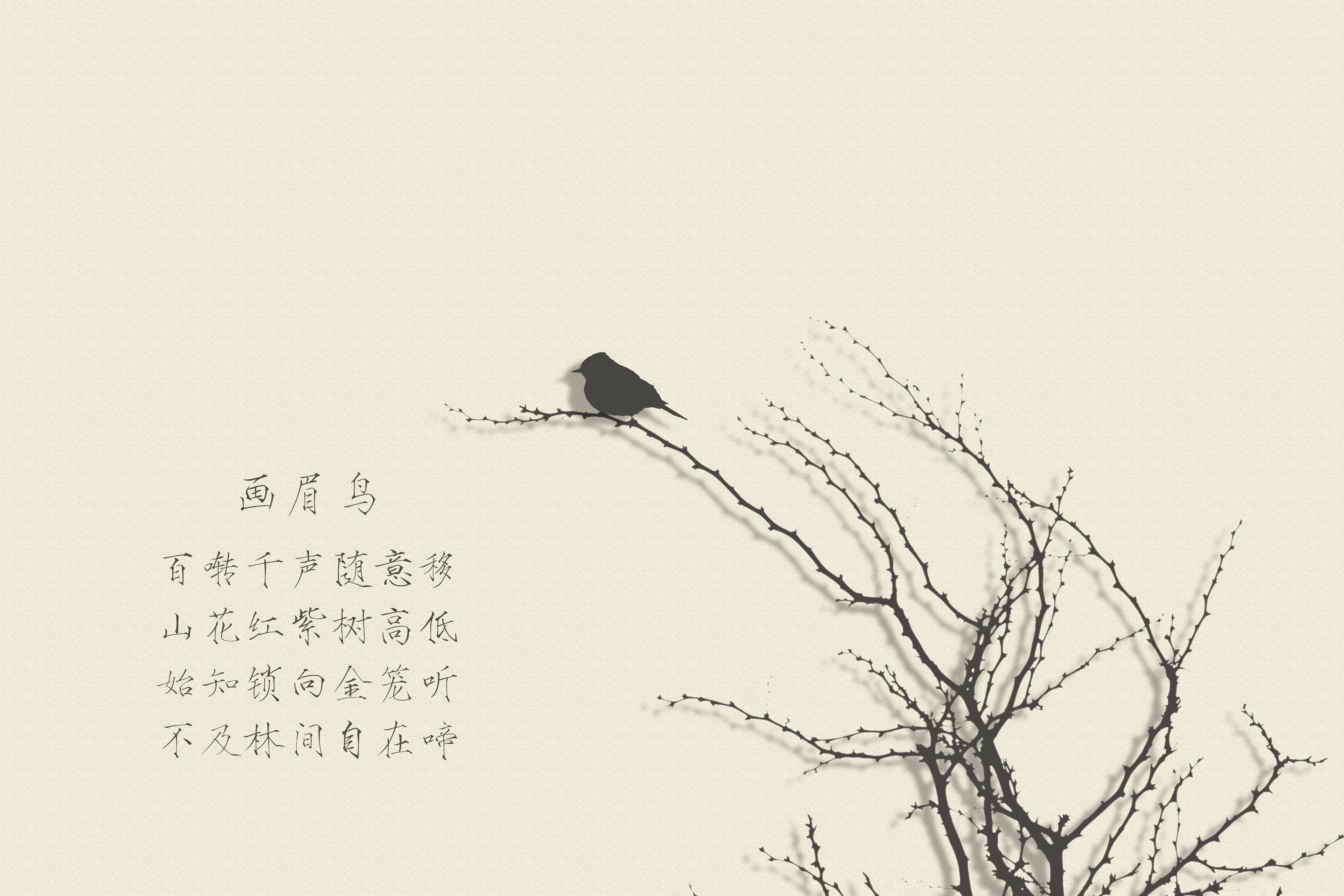 bird paper cut